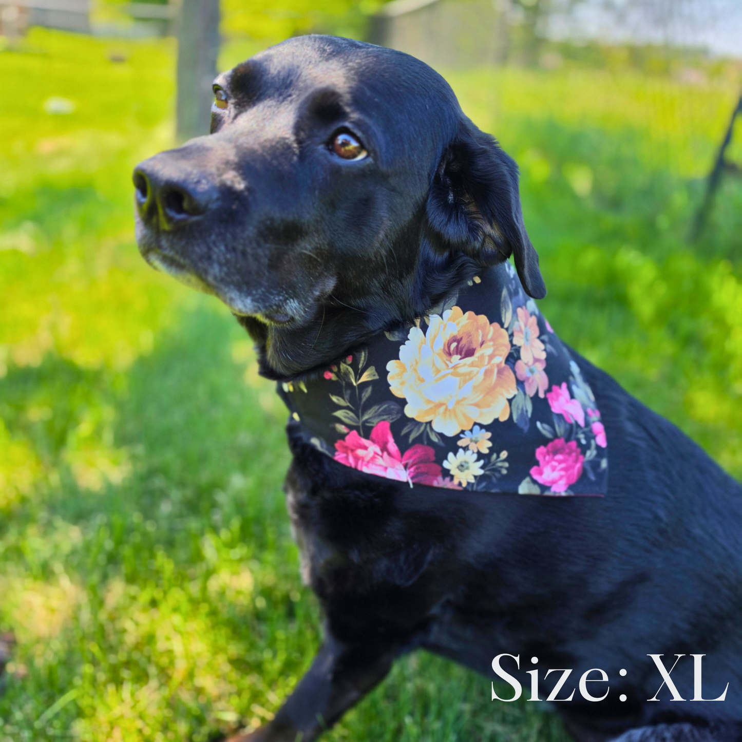 Navy Plaid Bee Scrunchie Pet Bandana